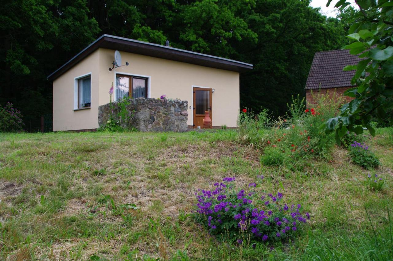 Bungalow Am Forsthaus Stagniess Иккериц Экстерьер фото